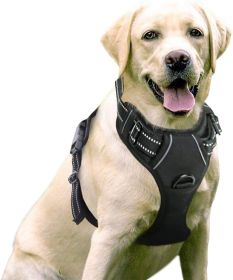 Dog Harness; No-Pull Pet Harness with 2 Leash Clips; Adjustable Soft Padded Dog Vest; Reflective No-Choke Pet Oxford Vest with Easy Control Handl (Color: Cherry Pink, size: large)